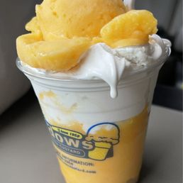 Vanilla Custard