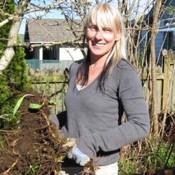 Seattle Bamboo - Tree Services Near Me Seattle Bamboo - Tree Services Near Me