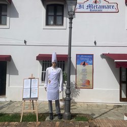 Il Metamare