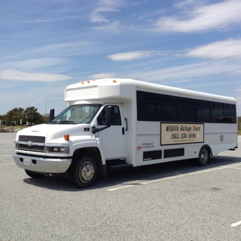Wildlife Tours - Tours Near Me - Chincoteague Island, Virginia Wildlife Tours - Tours Near Me - Chincoteague Island, Virginia