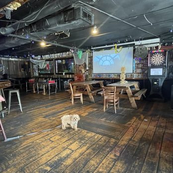 Sly Fox - Bars Near Me - Orlando, Florida Sly Fox - Bars Near Me - Orlando, Florida
