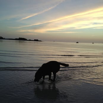 Dog Beach - Beaches Near Me - Fort Myers Beach, Florida