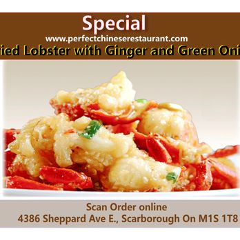 The Perfect Chinese Restaurant - Fried Lobster with Ginger and Green Onion 19.95 - Dim Sum Near Me - Toronto, Ontario The Perfect Chinese Restaurant - Fried Lobster with Ginger and Green Onion 19.95 - Dim Sum Near Me - Toronto, Ontario