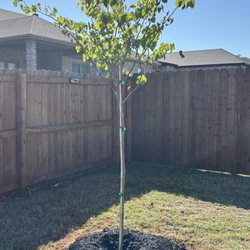 Sharum's Garden Center