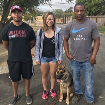 PowerHouseK9 - Pet Training Near Me PowerHouseK9 - Pet Training Near Me