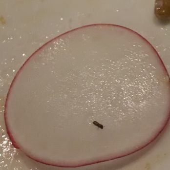 Mare Rooftop - Ant crawling on food - Seafood Near Me - Providence, Rhode Island Mare Rooftop - Ant crawling on food - Seafood Near Me - Providence, Rhode Island