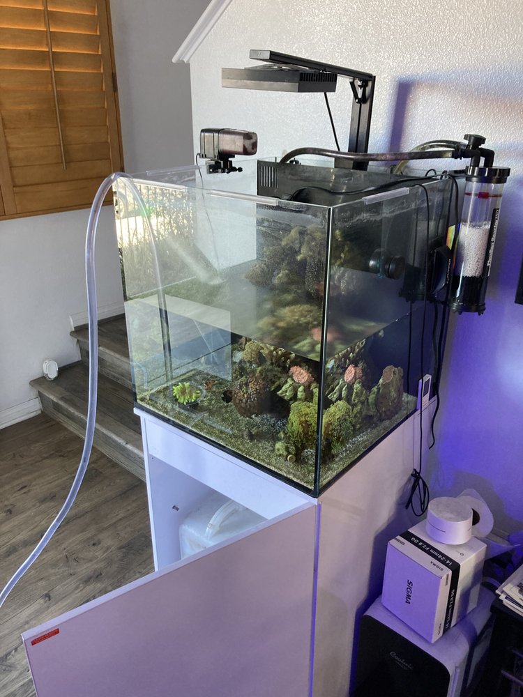 THE HELPFUL AQUARIUM HAND 12 Photos Los Angeles, California