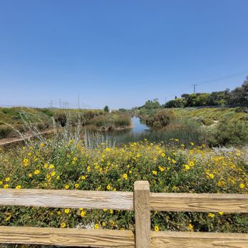 Dominguez Gap Wetlands photo 4