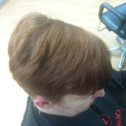 Hairzoo