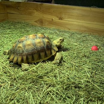 EcoVivarium - Museums Near Me - Escondido, California EcoVivarium - Museums Near Me - Escondido, California