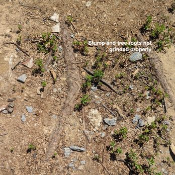 Rafael Landscaping - Tree Services Near Me Rafael Landscaping - Tree Services Near Me