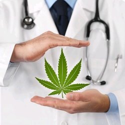 Cannabis Culture