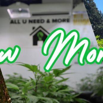 All U Need Gardening Supplies - Nurseries & Gardening Near Me - Albany, Oregon All U Need Gardening Supplies - Nurseries & Gardening Near Me - Albany, Oregon