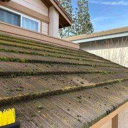 Clean Windows & Services  - Before - moss and dirt build up on roof