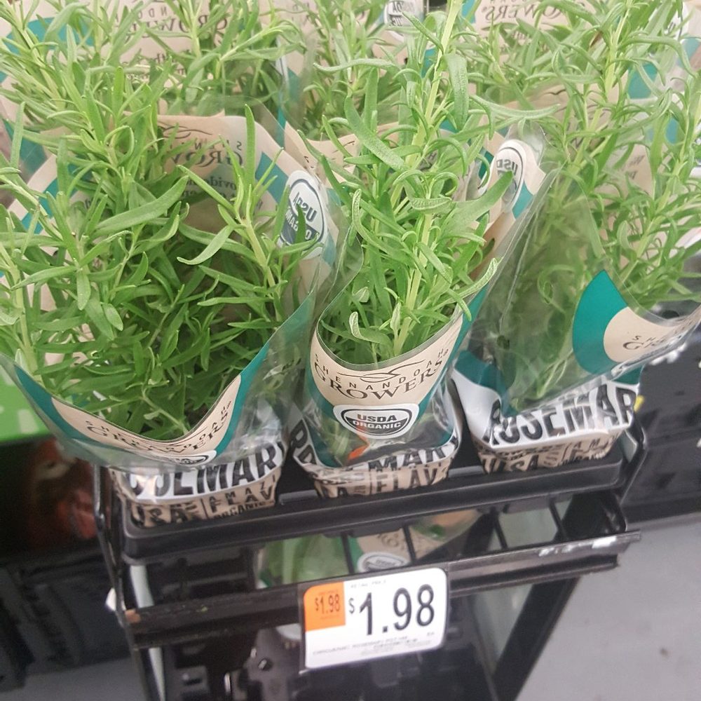 Walmart Neighborhood Market - I do love this - Grocery Near Me - Fort Oglethorpe, Georgia