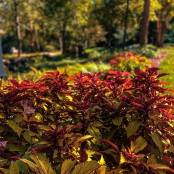 Falls Park - Venues & Event Spaces Near Me - Greenville, South Carolina Falls Park - Venues & Event Spaces Near Me - Greenville, South Carolina