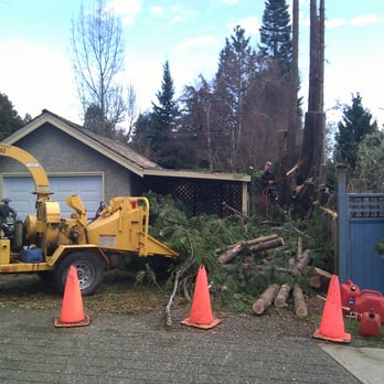 Hoff Tree Services - Tree Services Near Me