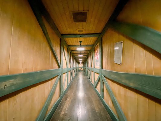 Mickey's Toontown by null