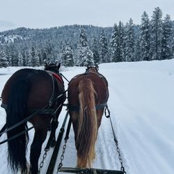 Icicle Outfitters & Guides - Front row seats!