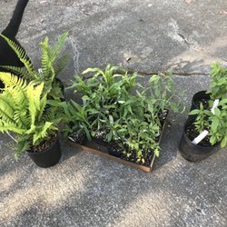 Walt's Organic Fertilizer Co