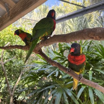 Brevard Zoo - Zoos Near Me - Melbourne, Florida Brevard Zoo - Zoos Near Me - Melbourne, Florida