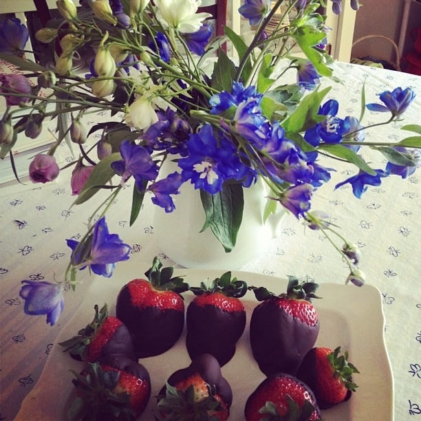 MT KISCO FLORIST & NURSERY Updated September 2024 233 W Main St