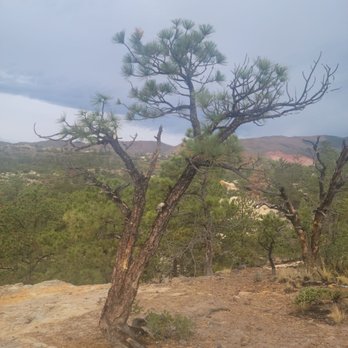 Ute Valley Park - Very cool trees - Parks Near Me - Colorado Springs, Colorado Ute Valley Park - Very cool trees - Parks Near Me - Colorado Springs, Colorado
