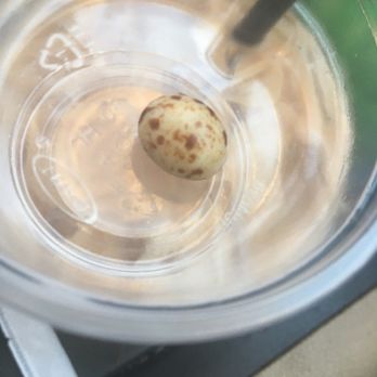 The Human Bean - Coffee & Tea Near Me - Clovis, California