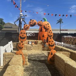Hunter's Pumpkin Patch - Photo opportunity with Jack Skellington, or the skeleton band