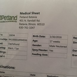 Their vet said he was neutered and so did they. Bad vet! Their vet said he was neutered and so did they. Bad vet!