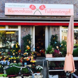 Tulpenstengel - Hier kaufe ich meine Blumen in Eimsbüttel!