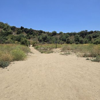 Carbon Canyon Regional Park - Trail to Redwood Grove - Parks Near Me - Brea, California Carbon Canyon Regional Park - Trail to Redwood Grove - Parks Near Me - Brea, California