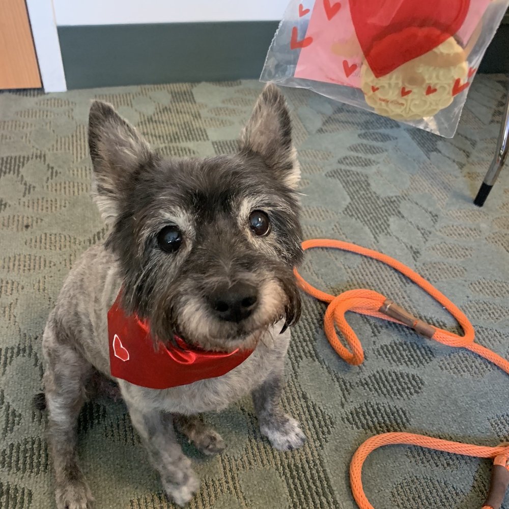 Sookie! Sookie!