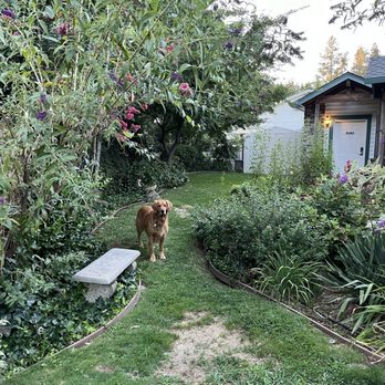 Grass Valley Courtyard Suites - Our dog, Kenny - Hotels Near Me - Grass Valley, California Grass Valley Courtyard Suites - Our dog, Kenny - Hotels Near Me - Grass Valley, California