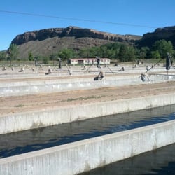 Fish Hatchery