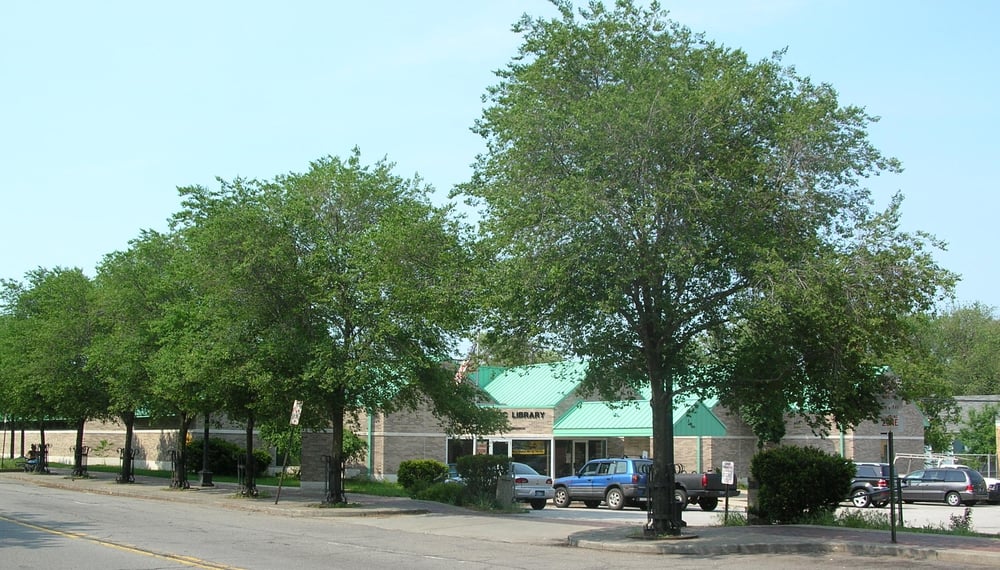 GARY PUBLIC LIBRARY Updated September 2024 501 S Lake St, Gary