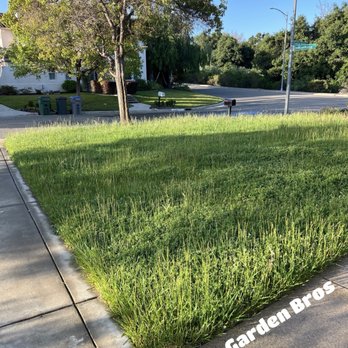 Garden Bros Landscape Services - Weeds and scruffy-looking lawn BEFORE Garden Bros... - Landscaping Near Me