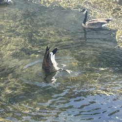 East Bank Trail - Bottoms up