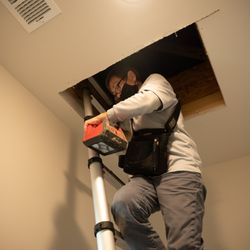 NextDay Inspect - Rhonda is exiting the attic and going to examine the rest of the home.