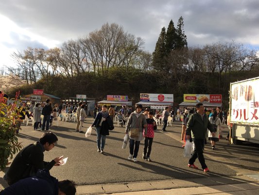 Miharu Takizakura by null