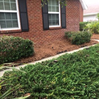 Born 2 Clean - Getting ready to put on the market quick flips - Landscaping Near Me - Tallahassee, Florida