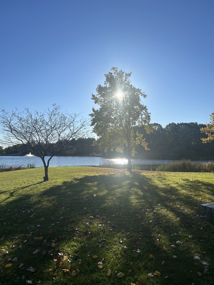 LAKE WINFIELD RECREATION AREA Holt St, Plymouth, Connecticut
