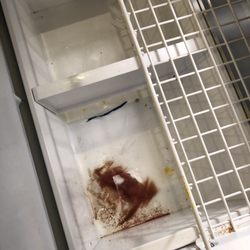 Immaculate Cleaning - We clean inside freezer