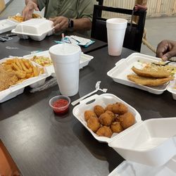 Cod Tail Greenwood - Hush puppies
