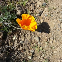 Fishbits' Trail