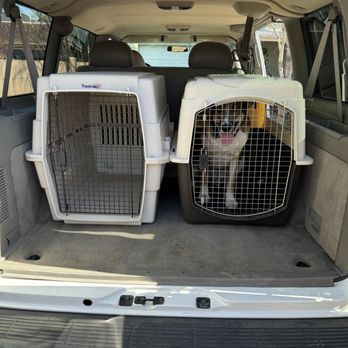 Fetch Tucson - Pet Transportation Near Me Fetch Tucson - Pet Transportation Near Me