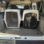 Photo of Fetch Tucson