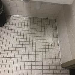 Coconut Palm K-8 Academy - Dead cockroach in the nurse bathroom