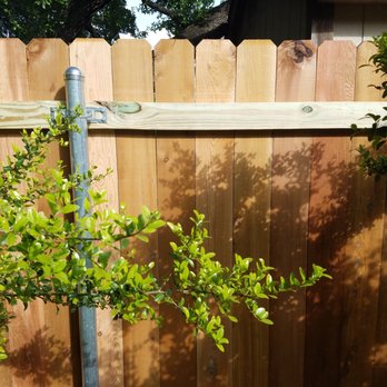 Sasquatch Deck  - Up close. Great craftsmanship. - Fences & Gates Near Me