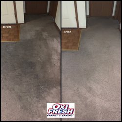 Oxi Fresh Carpet Cleaning - Our Green Carpet Cleaning method gets tough stains out of carpets.